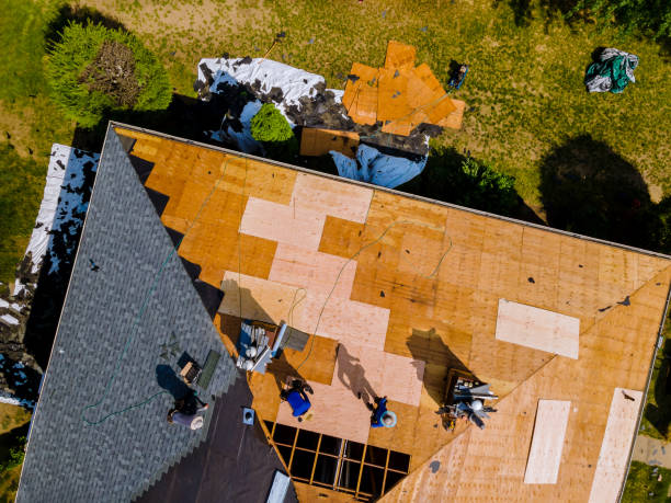 Best Roof Leak Repair  in Parsons, KS